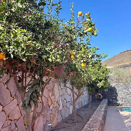 Consuelo - Quiet Location Close To Villa Buzanada