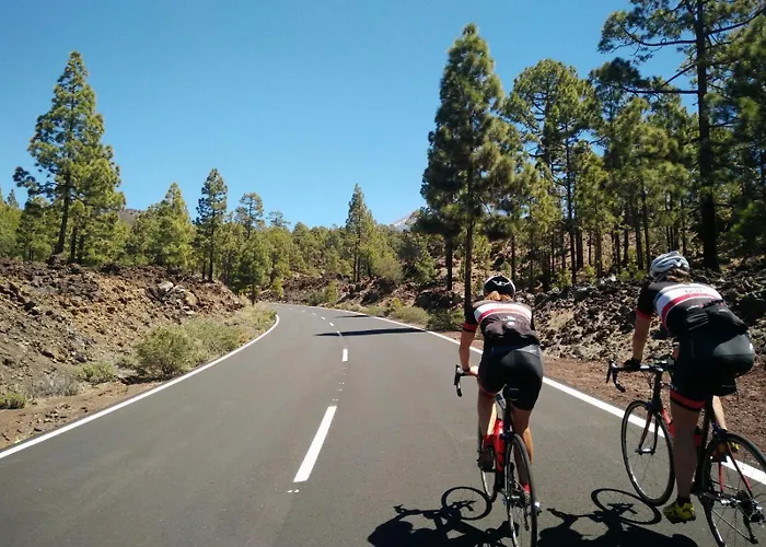 Villa Consuelo - Quiet Location Close To Buzanada