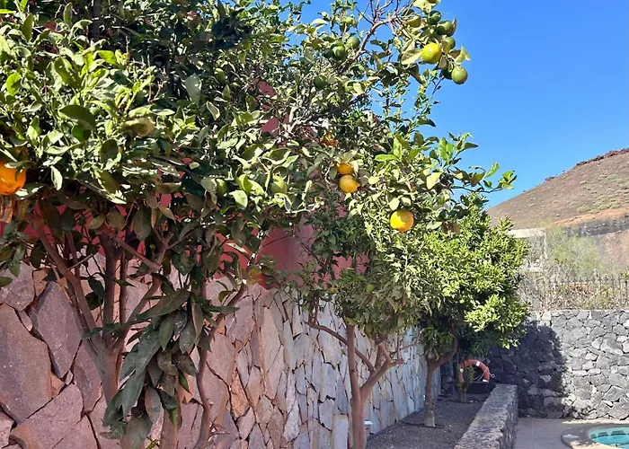 Consuelo - Quiet Location Close To Villa Buzanada